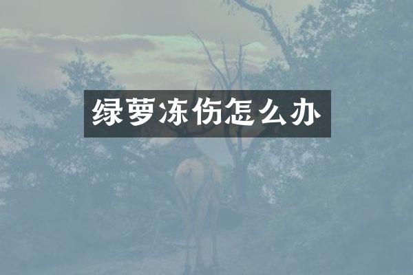 绿萝冻伤怎么办