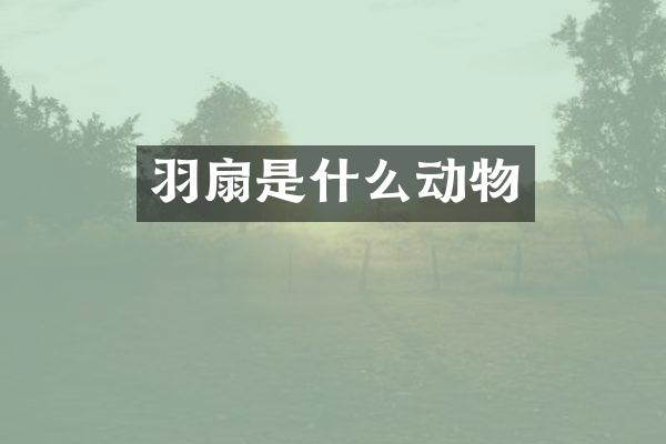 羽扇是什么动物