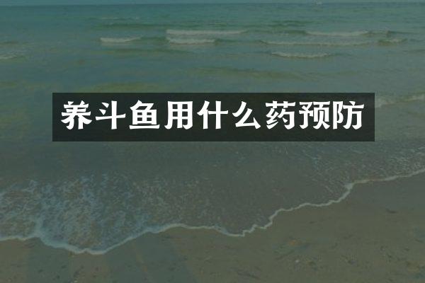 养斗鱼用什么药预防