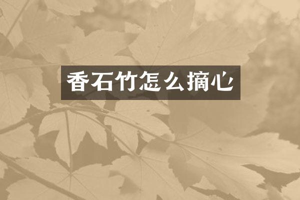 香石竹怎么摘心