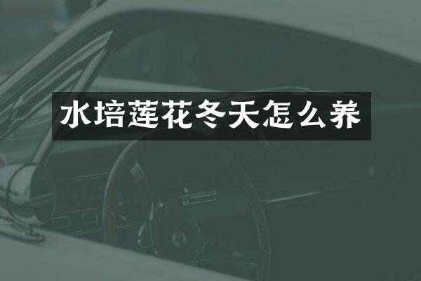 水培莲花冬天怎么养