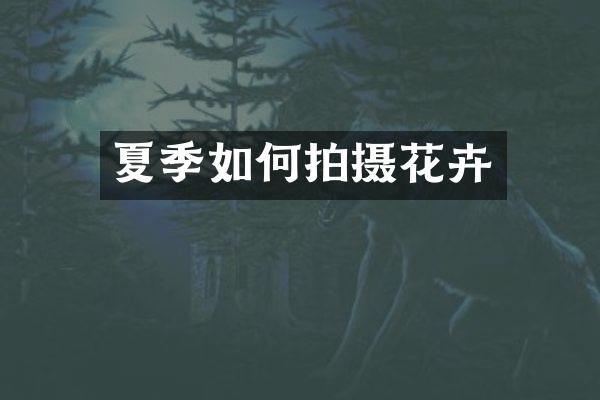 夏季如何拍摄花卉