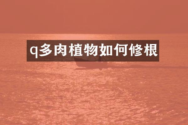 q多肉植物如何修根