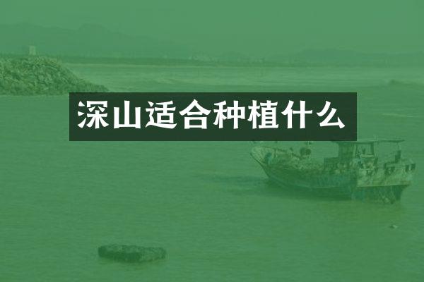 深山适合种植什么