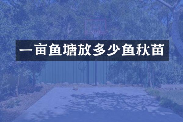 一亩鱼塘放多少鱼秋苗