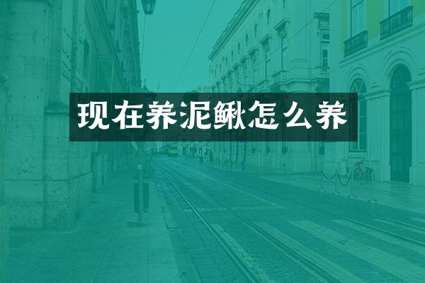 现在养泥鳅怎么养