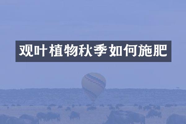 观叶植物秋季如何施肥
