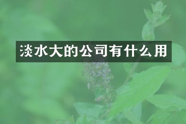 淡水大的公司有什么用