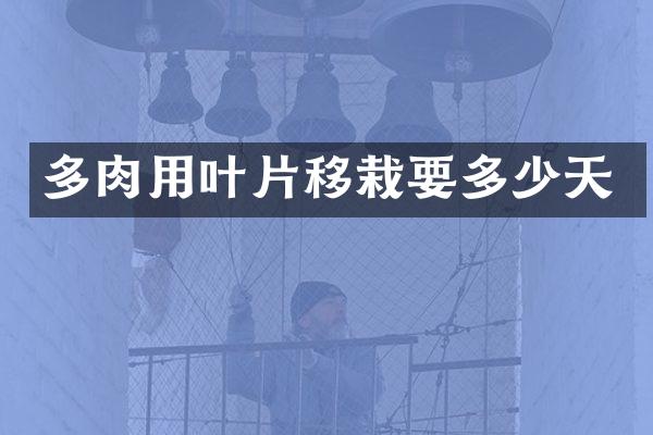 多肉用叶片移栽要多少天