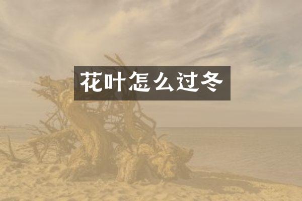 花叶怎么过冬