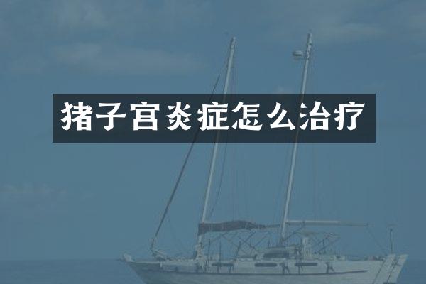 猪子宫炎症怎么治疗