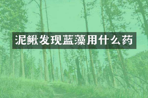 泥鳅发现蓝藻用什么药