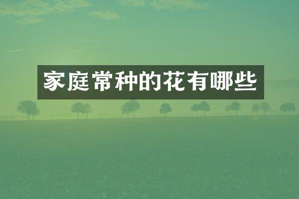 家庭常种的花有哪些
