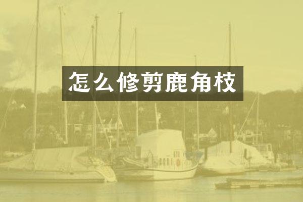 怎么修剪鹿角枝