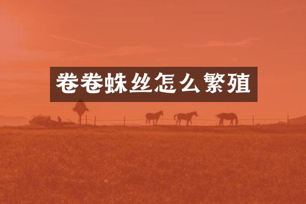 卷卷蛛丝怎么繁殖