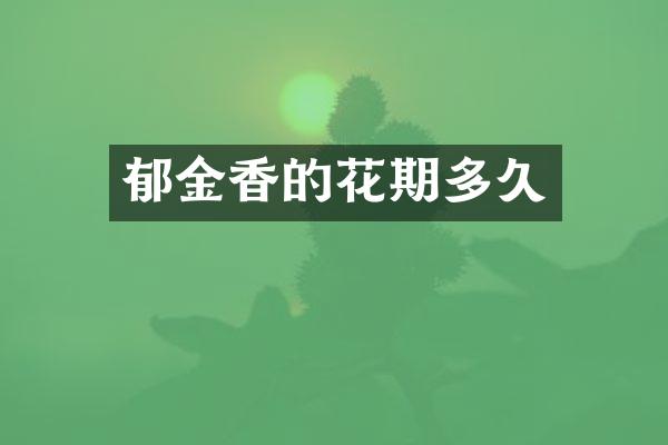 郁金香的花期多久