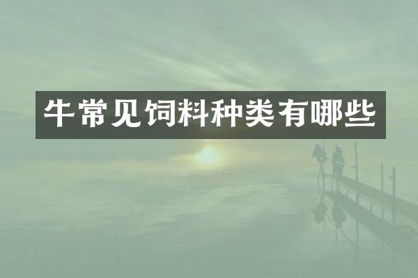 牛常见饲料种类有哪些