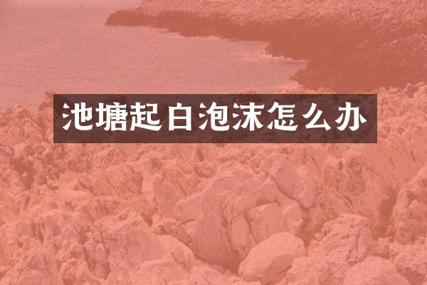 池塘起白泡沫怎么办