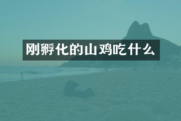刚孵化的山鸡吃什么