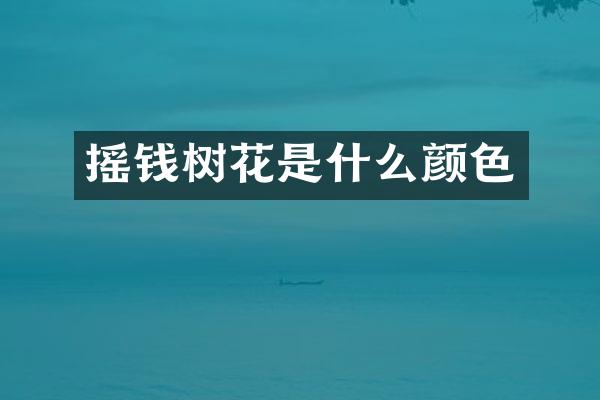 摇钱树花是什么颜色