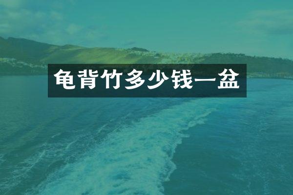 龟背竹多少钱一盆
