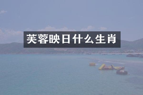 芙蓉映日什么生肖