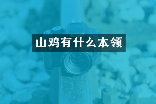 山鸡有什么本领
