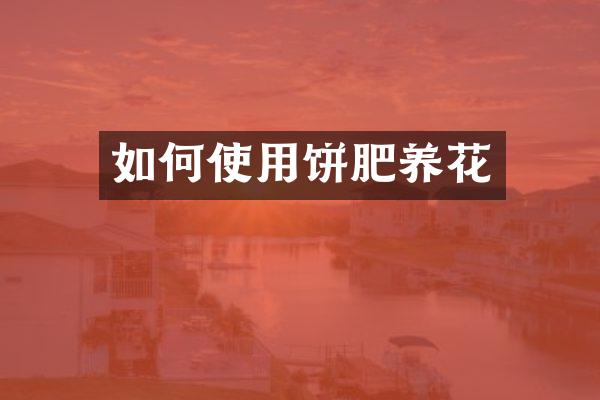 如何使用饼肥养花