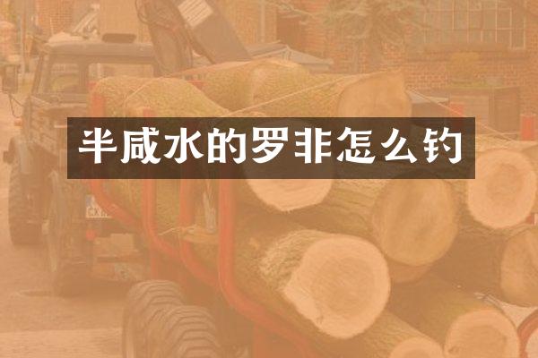半咸水的罗非怎么钓