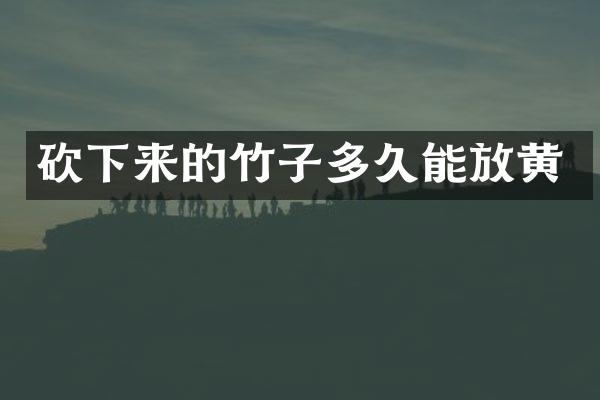 砍下来的竹子多久能放黄