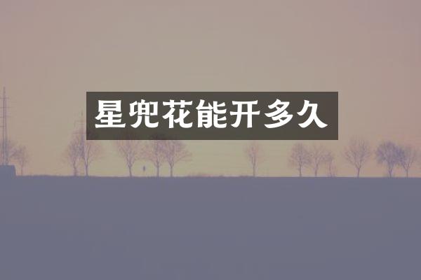 星兜花能开多久