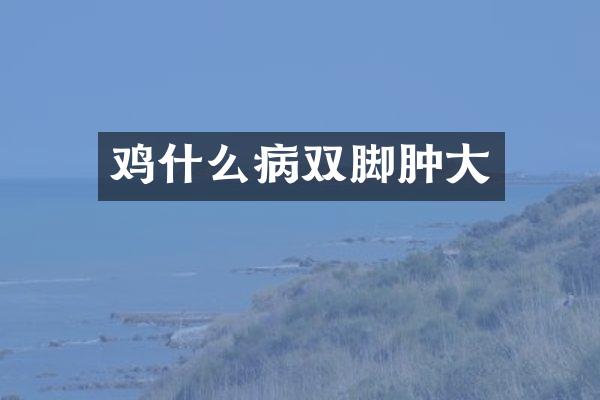 鸡什么病双脚肿大