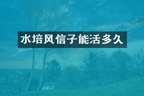 水培风信子能活多久