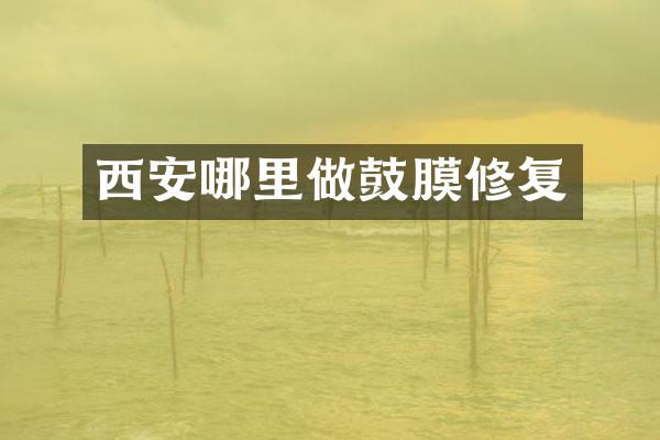 西安哪里做鼓膜修复