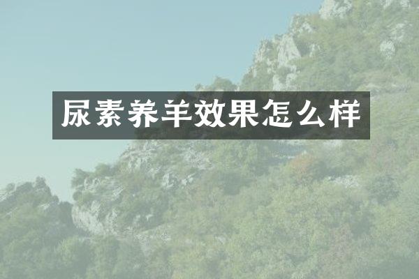 尿素养羊效果怎么样