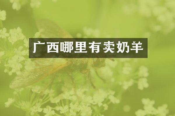广西哪里有卖奶羊
