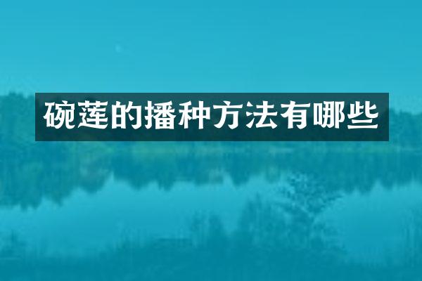 碗莲的播种方法有哪些