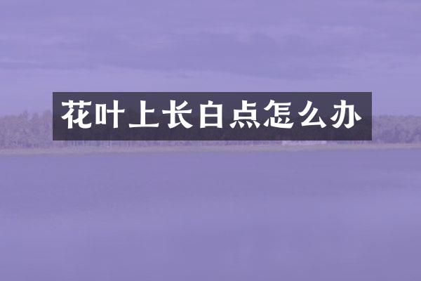 花叶上长白点怎么办