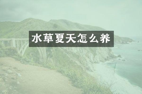 水草夏天怎么养
