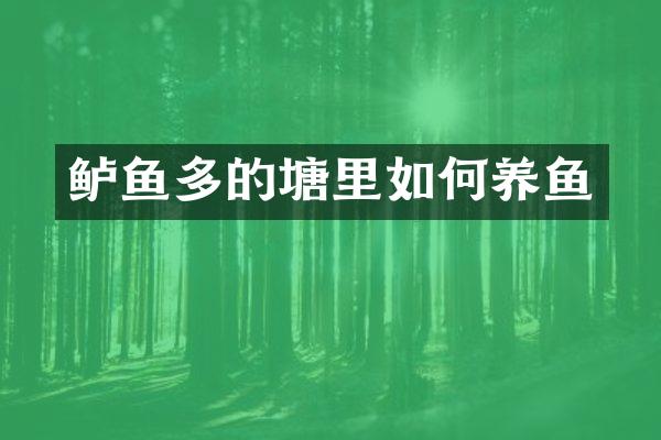 鲈鱼多的塘里如何养鱼