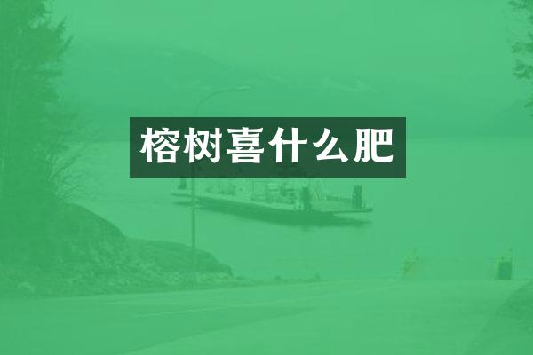 榕树喜什么肥