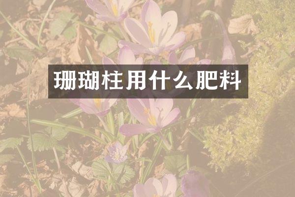 珊瑚柱用什么肥料