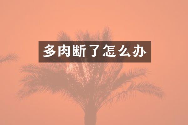 多肉断了怎么办