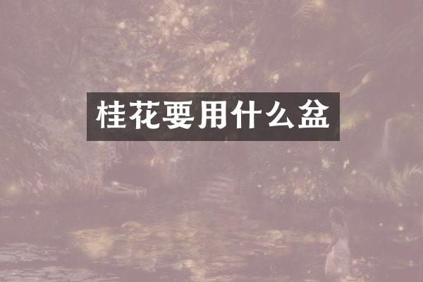 桂花要用什么盆