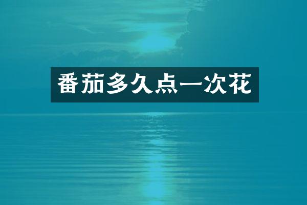 番茄多久点一次花