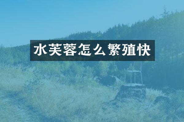 水芙蓉怎么繁殖快