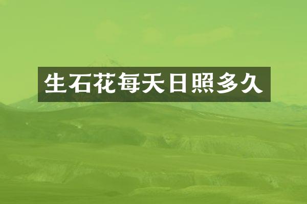 生石花每天日照多久