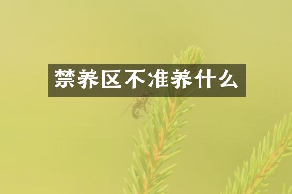 禁养区不准养什么
