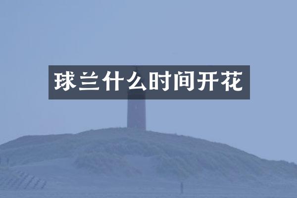 球兰什么时间开花