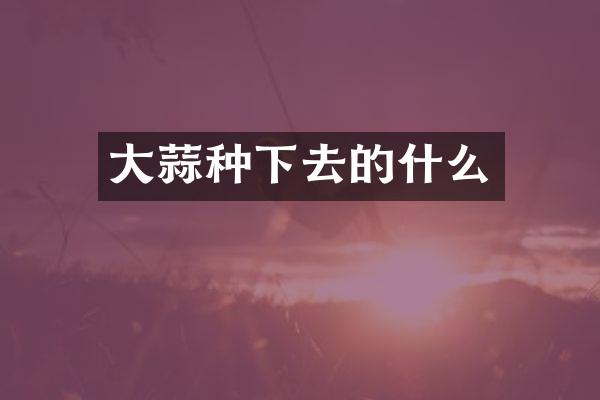 大蒜种下去的什么